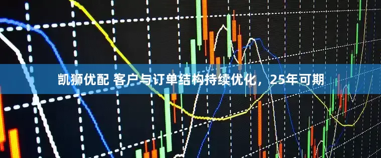 凯狮优配 客户与订单结构持续优化,25年可期