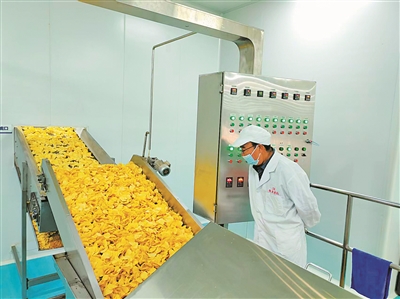 安信策略 劳模风采·2025年全国劳动模范｜胡荣海：“土豆大王”带来“金豆豆”
