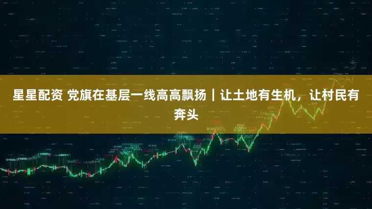 星星配资 党旗在基层一线高高飘扬｜让土地有生机，让村民有奔头