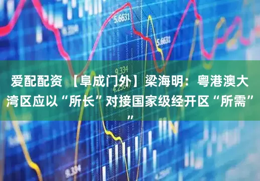 爱配配资 【阜成门外】梁海明：粤港澳大湾区应以“所长”对接国家级经开区“所需”