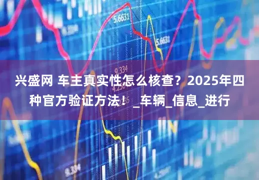兴盛网 车主真实性怎么核查？2025年四种官方验证方法！_车辆_信息_进行