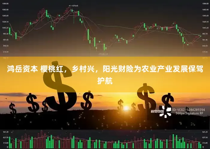 鸿岳资本 樱桃红，乡村兴，阳光财险为农业产业发展保驾护航